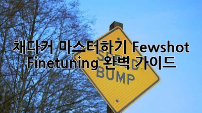 채다커 마스터하기: Few-shot & Fine-tuning 완벽 가이드